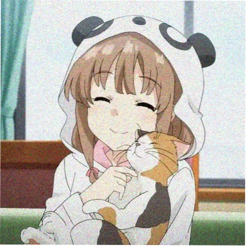 王制片